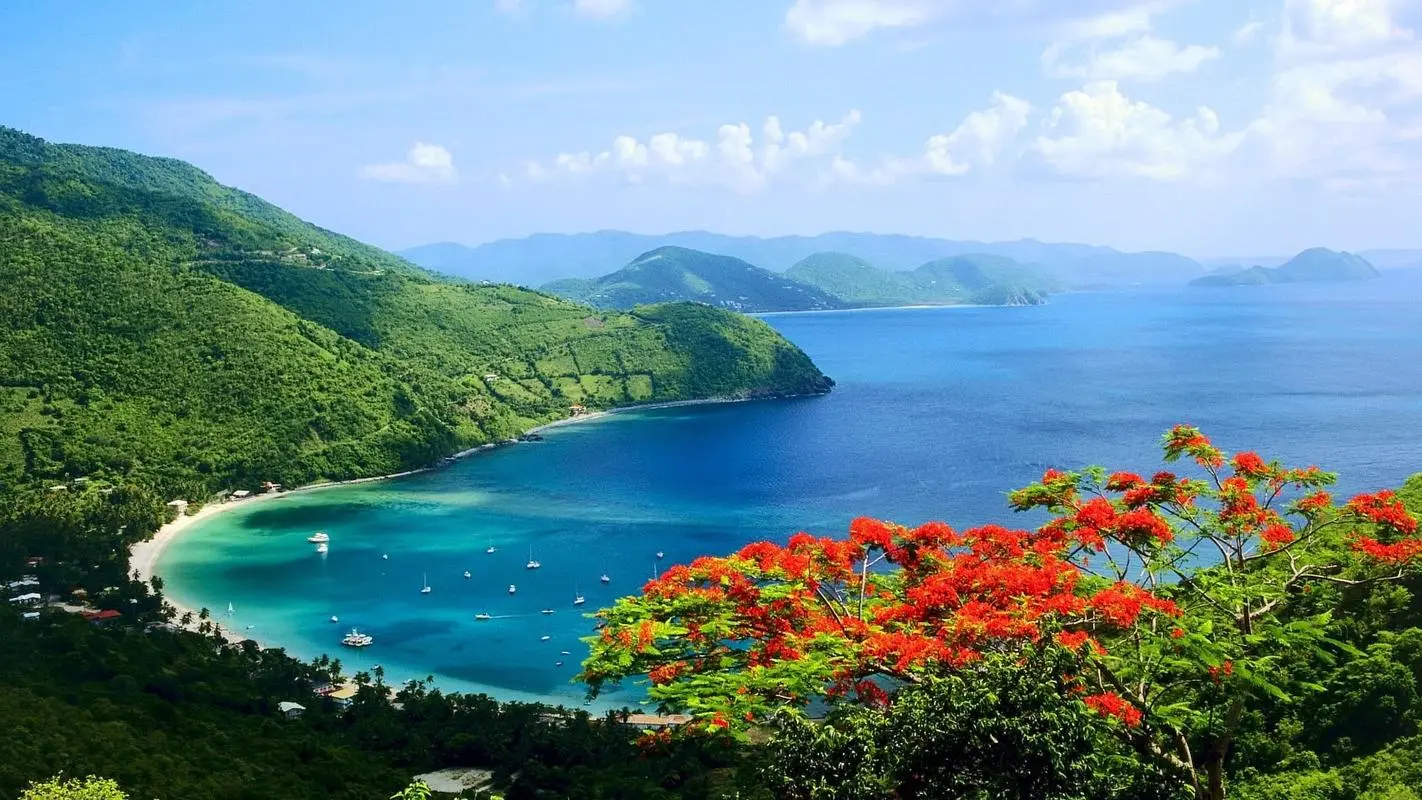 智能化高性能