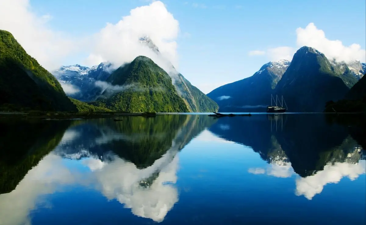 智能全自动